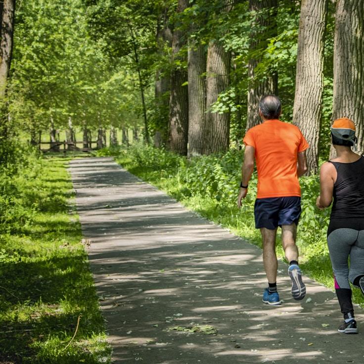 Professional gym with weight equipment